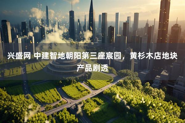 兴盛网 中建智地朝阳第三座宸园，黄杉木店地块产品剧透