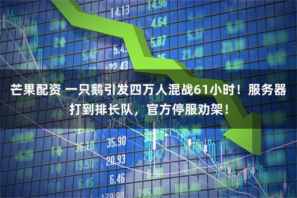 芒果配资 一只鹅引发四万人混战61小时！服务器打到排长队，官方停服劝架！
