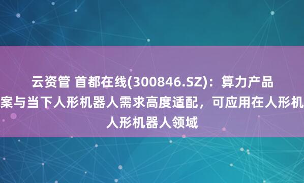 云资管 首都在线(300846.SZ)：算力产品及解决方案与当下人形机器人需求高度适配，可应用在人形机器人领域
