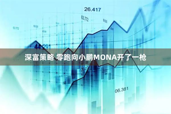 深富策略 零跑向小鹏MONA开了一枪