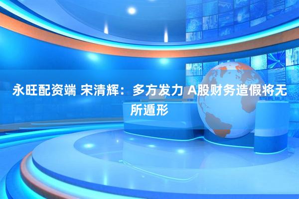 永旺配资端 宋清辉：多方发力 A股财务造假将无所遁形