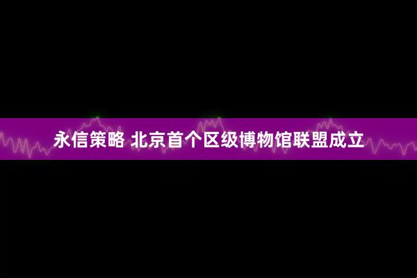 永信策略 北京首个区级博物馆联盟成立