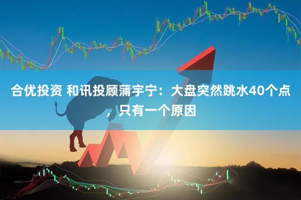 合优投资 和讯投顾蒲宇宁：大盘突然跳水40个点，只有一个原因