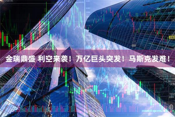金瑞鼎盛 利空来袭！万亿巨头突发！马斯克发难！
