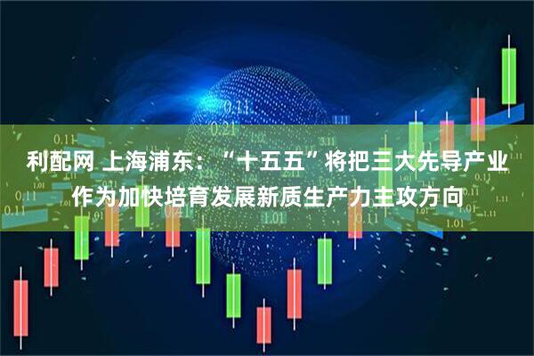 利配网 上海浦东：“十五五”将把三大先导产业作为加快培育发展新质生产力主攻方向