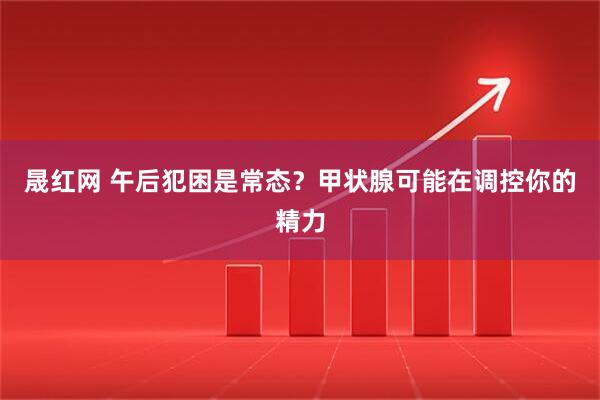 晟红网 午后犯困是常态？甲状腺可能在调控你的精力